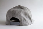 Phoenix 110 Snap Back